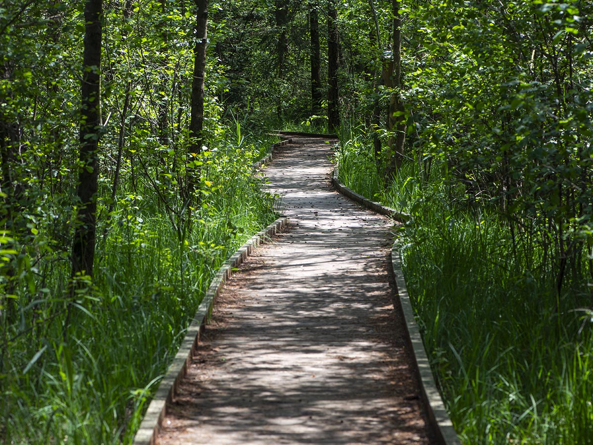 Holzbohlenweg